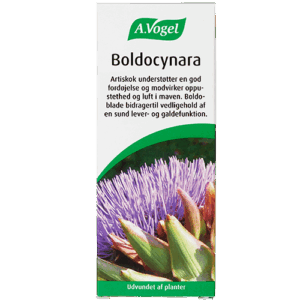 A. Vogel Boldocynara (50 ml)