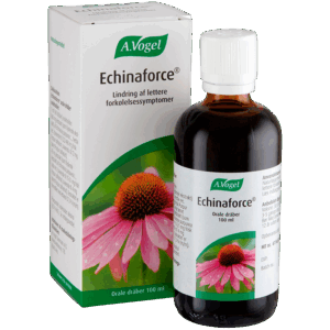 A. Vogel Echinaforce (100 ml)