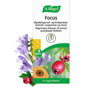 A. Vogel Focus (28 tabl)