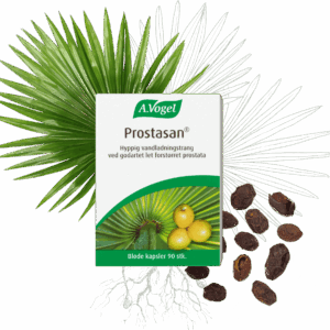 A. Vogel Prostasan 90 kaps.