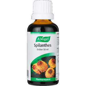 A. Vogel Spilanthes Mundskyl (50 ml)