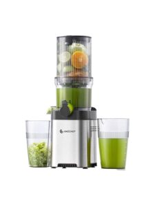 AMZCHEF CE-ZM1902M-SV Slow Juicer