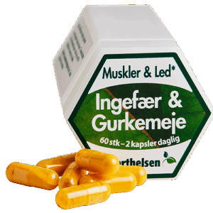 Berthelsen Ingefær & Gurkemeje (60 kaps)
