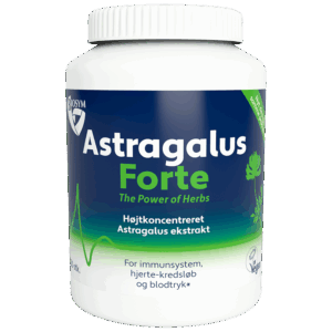Biosym Astragalus Forte (120 kap)