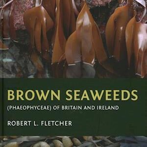 'Brown Seaweeds (Phaeophyceae) of Britain and Ireland' - Robert L. Fletcher - Bog