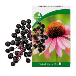 Echinacea Hot Drink - 100 ml - A.Vogel