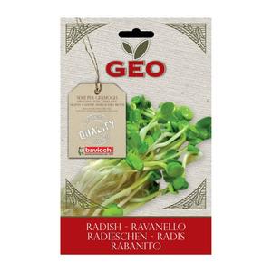 Geo Bavicchi Radisefrø til spiring Ø - 30 g
