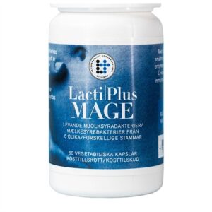 Mave - 60 kapsler - LactiPlus