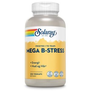 Mega B-Stress - 250 kapsler - Solaray