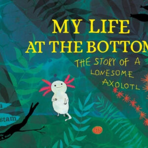 My Life at the Bottom