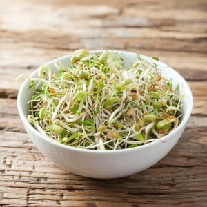 Økologisk salatmix spirer - 30 g