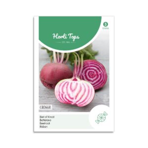 Rødbede frø "Chioggia" - Horti Tops