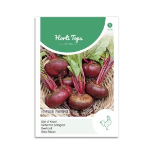 Rødbede frø "Egyptian Turnip"