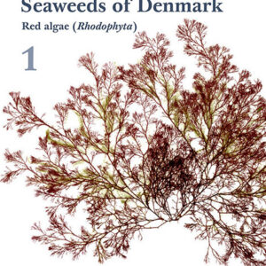 Seaweds Of Denmark 1, Red Algae - Rhodophyta - Ruth Nielsen - English Book