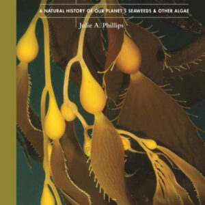 The Lives of Seaweeds