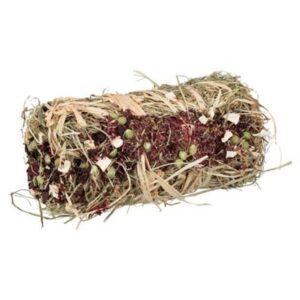 Trixie Hay Bale with Beetroot and Parsnip ø 10 × 18 cm 200g