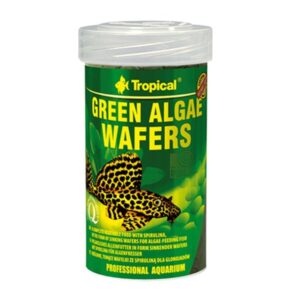 Tropical Grønne algevafler 250 ml. / 113 g.