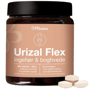 Urizal Ingefær Flex (500 tab)